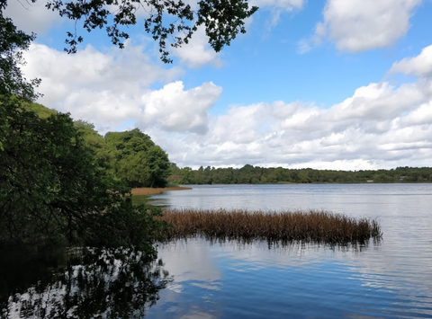frensham great pond