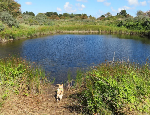 Gibraltar Point Nature Reserve