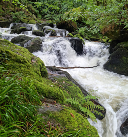 Golitha Falls