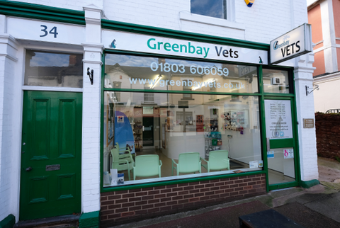 Greenbay Vets - Torquay