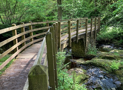 Hareshaw Linn Waterfall