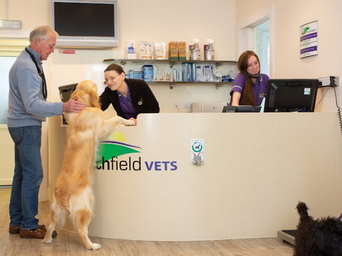 Heathfield Vets - Heathfield