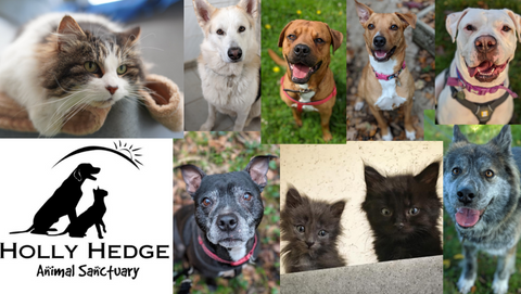 Holly Hedge Animal Sanctuary