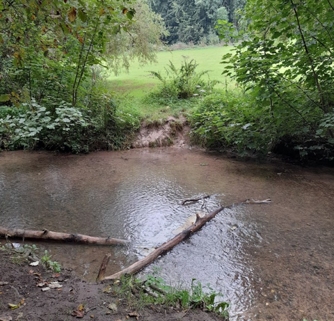 Hubbard’s Hills, Louth