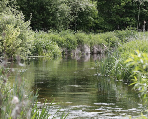 Idle Valley Nature Reserve