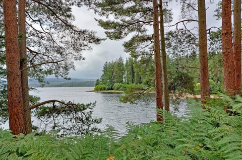 Kielder Water and Forest Park