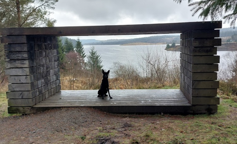 Kielder Water and Forest Park