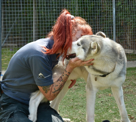 Animals’ Aid – Leicester &amp; South Derbyshire Branch