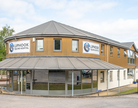 Liphook Equine Hospital - Liphook