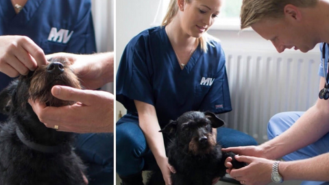 Manchester Veterinary Specialists - Worsley