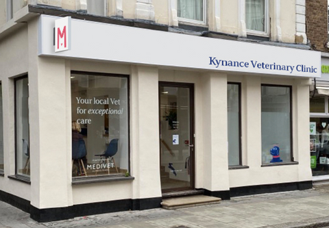Medivet - Kensington 4.5