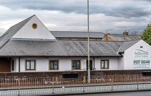 Medivet 24 Hour Chorley