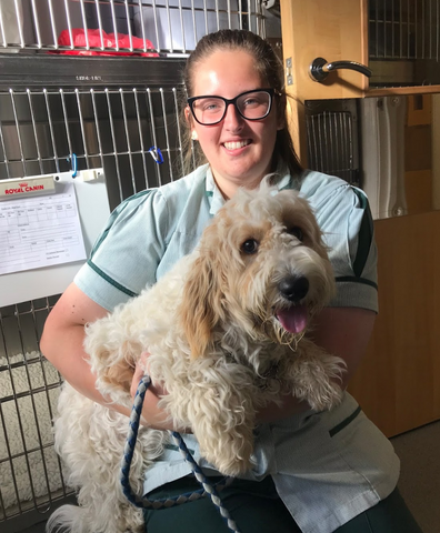 Minster Veterinary Centre - Southwell