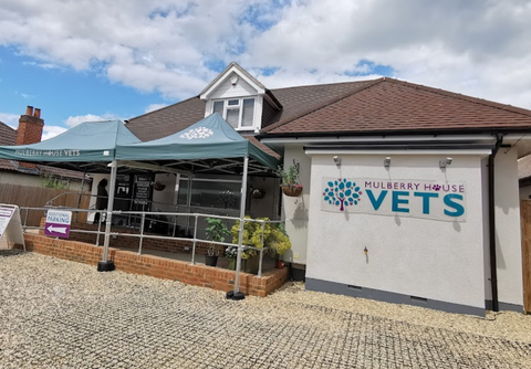 Mulberry House Veterinary Surgery