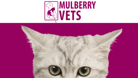Mulberry Vets - Sudbury