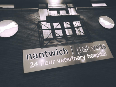 Nantwich Veterinary Hospital - Nantwich