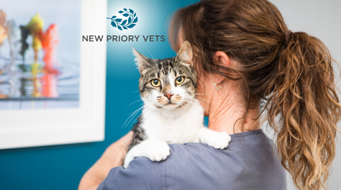 New Priory Vets - Brighton &amp; Peacehaven