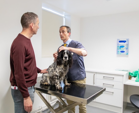 North Downs Specialist Referrals - Bletchingley