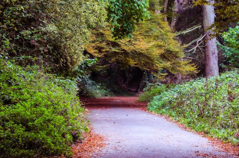 Otterspool Promenade