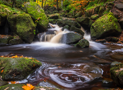 Padley Gorge