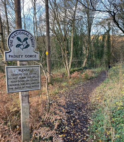 Padley Gorge