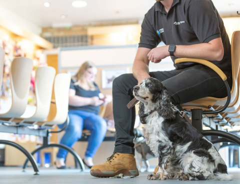 Park View Veterinary Hospital - North Hykeham