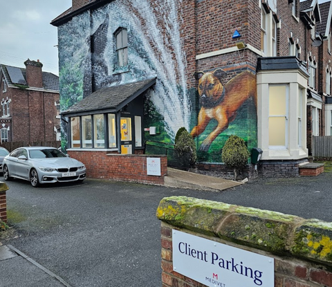 Park Veterinary Surgery - Birkenhead
