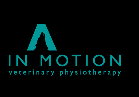 Paws in Motion Veterinary Physiotherapy - Southport