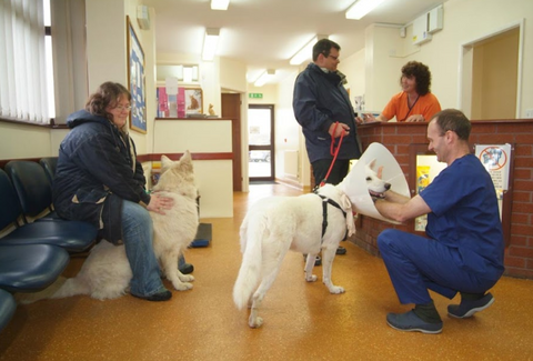 Quantock Veterinary Hospital - Bridgwater