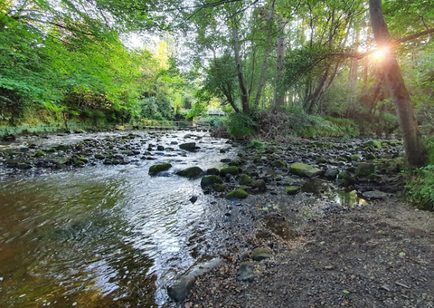The River Esk at Egton Bridge