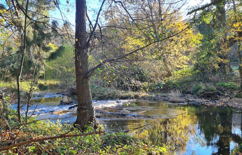 The River Esk at Egton Bridge