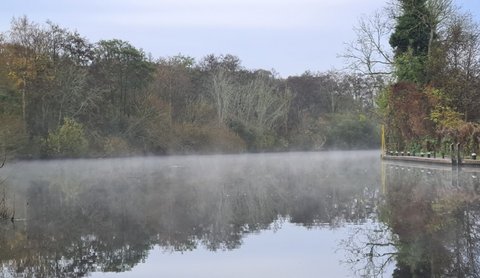The River Bure at Coltishall