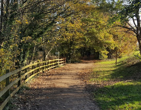 River Dart at Totnes