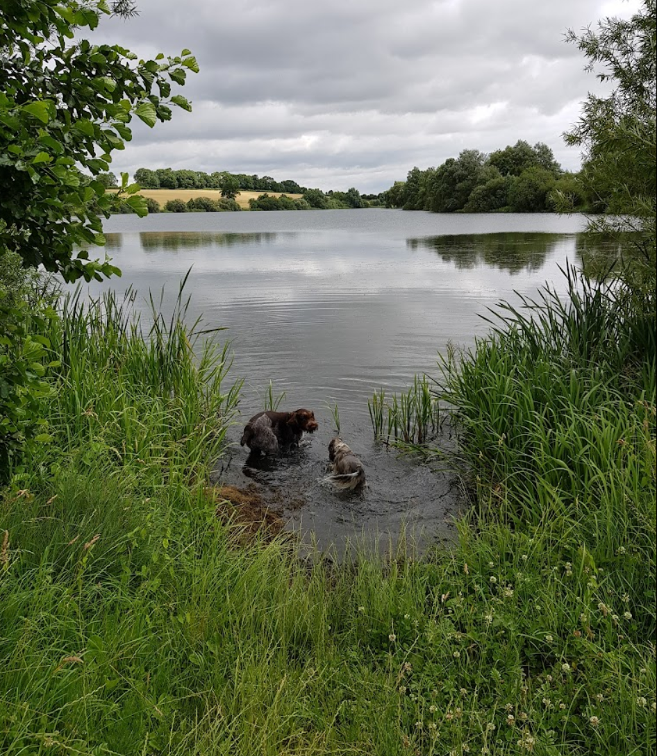 The River Nene at Oundle