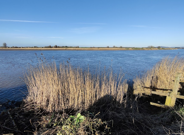 The River Severn at Worcester