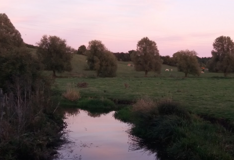River Severn at Minsterworth