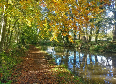 Youlgreave – River Bradford