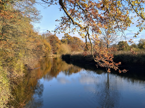 River Trent at Wolseley Bridge