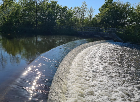 The River Wensum at Costessey