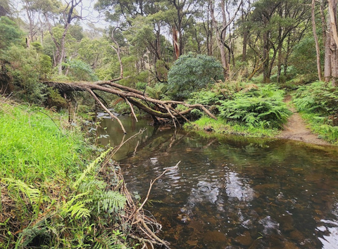 The Hereford to Breinton Walk along the River Wye