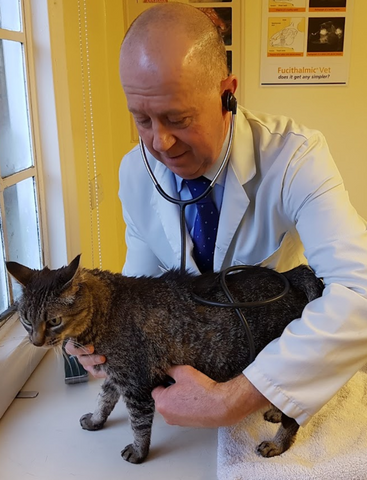 Riverside Veterinary Surgery - Evesham