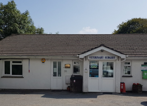 Rock View Veterinary Surgery