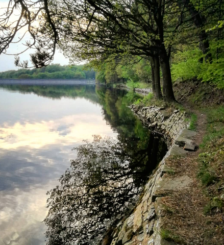 roddlesworth reservoir