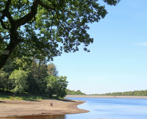 roddlesworth reservoir