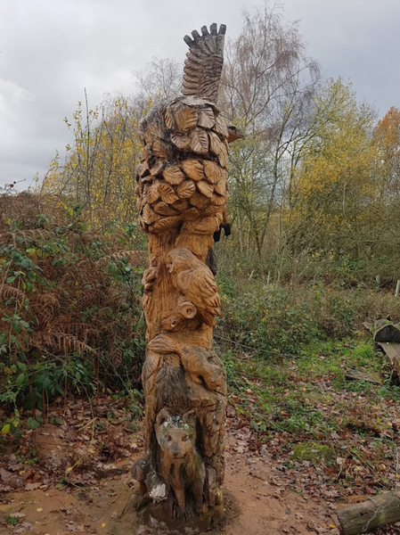 Ryton Pools Country Park