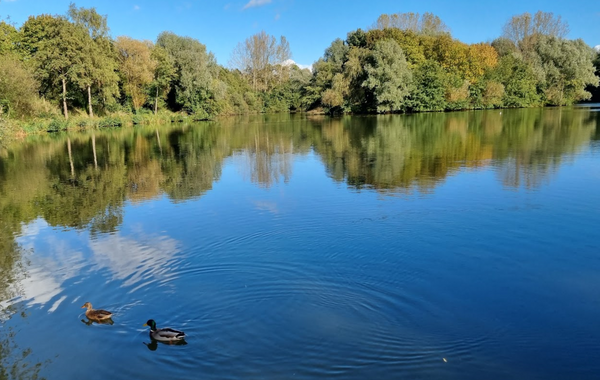 Ryton Pools Country Park