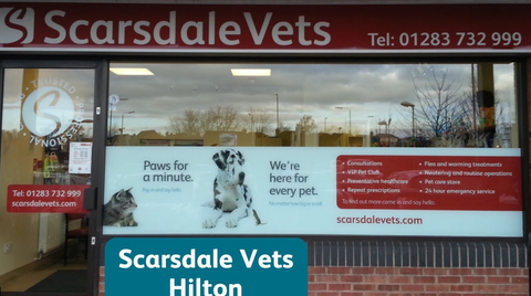 Scarsdale Vets - Hilton