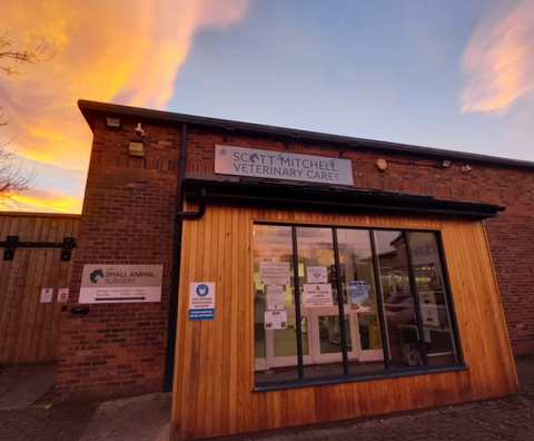 Scott Mitchell Veterinary Care Ltd