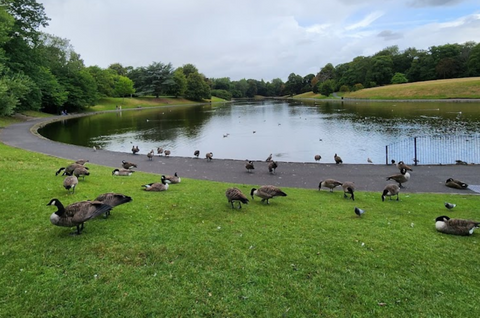Sefton Park
