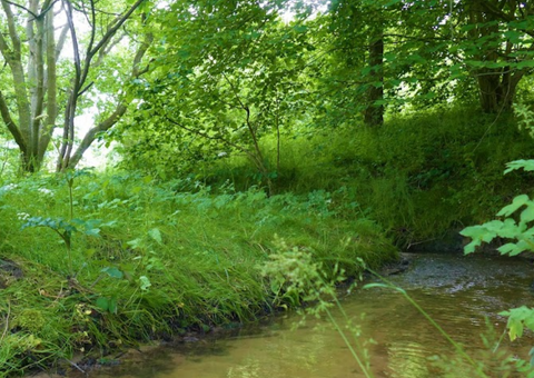 Snipe Dales Country Park